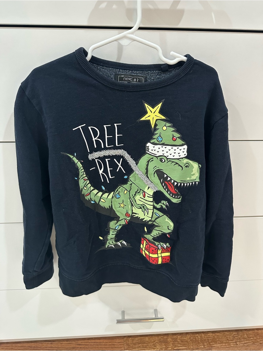 Boys ‘Tree Rex' Christmas Sweatshirt - Size 8